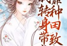 完结版《穿成寡妇?我转身带崽靠种田致富》免费阅读-干果文学