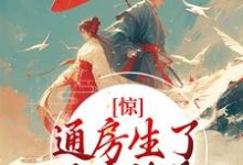 免费在线阅读惊!通房生了世子府继承人小说的正规网站有哪些?-干果文学