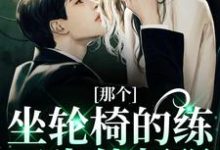那个坐轮椅的练习生他超强这本小说在哪里可以看?哪里有免费试读章节?-干果文学