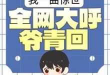 已完结小说《我一曲惊世,全网大呼爷青回》最新章节-干果文学