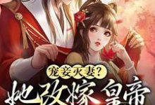 宠妾灭妻?她改嫁皇帝生皇子萧痕云卿小说免费阅读-干果文学