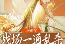 主角叫墨渊姜离姜柔,姜萧小说小妞在战场一通乱杀,只为混口饭?章节免费阅读-干果文学