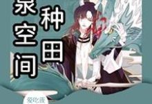 江辰系统,小红花小说叫什么(灵泉空间来种田免费阅读)-干果文学