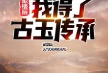 主角 叶问天苏晴雪小说完结版在线阅读,坠楼后,我得了古玉传承免费看-干果文学