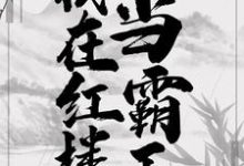 我在红楼当霸王小说完结了吗?在哪里可以免费读到?-干果文学