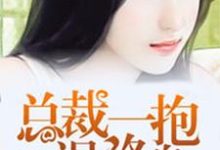 小说《总裁一抱误终身》在线章节阅读-干果文学