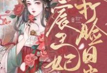 宸王妃打脸日常小说有没有完结版在线?-干果文学
