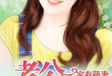 小说《家有萌妻》章节免费阅读-干果文学