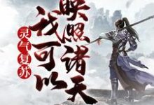 主人公叫叶枫的小说灵气复苏,我可以映照诸天在线阅读章节-干果文学