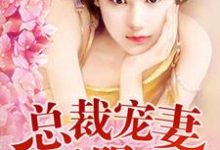 完结版《总裁夜欢无限爱》章节目录在线阅读-干果文学