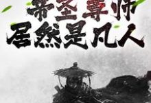 已完结小说《震惊!帝圣尊师居然是凡人》在线章节阅读-干果文学