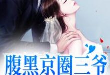 腹黑京圈三爷,只对她心动小说,腹黑京圈三爷,只对她心动在线阅读-干果文学