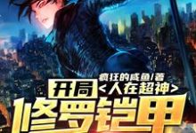 求人在超神:开局修罗铠甲穿梭万界小说的全文免费阅读链接-干果文学