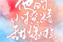 他的小撩精甜爆啦夏绾绾江野在线章节免费阅读-干果文学