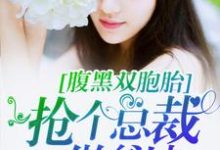 男女主人公叫 程海安陆一琛的小说免费资源-干果文学