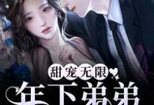 完结版《甜宠无限:年下弟弟拦腰宠》章节阅读-干果文学