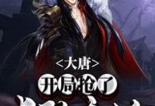 小说《大唐:开局抢了长孙无垢》在线章节阅读-干果文学
