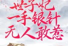 周卿辞盛九铮小说在线章节免费阅读(被逼替嫁:世子妃一手银针无人敢惹无弹窗无删减)-干果文学