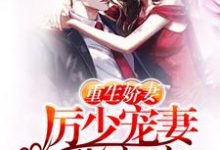 重生娇妻:厉少宠妻甜蜜蜜小说的无弹窗阅读体验,寻找免费阅读网站-干果文学