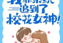 我靠系统追到了校花女神!(林琛宋清婉)在线免费阅读-干果文学