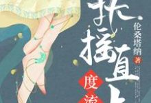 扶摇直上度流年小说的免费电子版在哪里可以下载或阅读?-干果文学