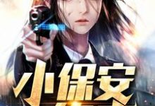 小保安修真小说的无弹窗阅读体验,寻找免费阅读网站-干果文学