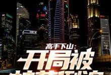 完结版《高手下山:开局被校花倒追》章节阅读-干果文学