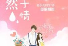 求推荐可以免费阅读漓然止于情小说的网站-干果文学