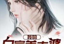 林萧许欣然是哪本书的主角?我的白富美老婆免费读-干果文学