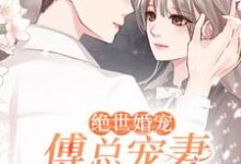 绝世婚宠:傅总宠妻超甜免费阅读,绝世婚宠:傅总宠妻超甜章节目录-干果文学
