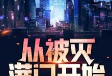 林策叶相思是哪本书的主角?至尊战神:从被灭满门开始免费读-干果文学