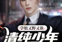 学姐又野又欲,清纯少年他红了脸萧辰林岚,学姐又野又欲,清纯少年他红了脸章节在线阅读-干果文学