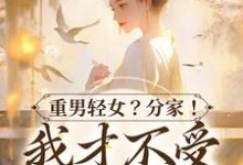 重男轻女?分家! 我才不受这窝囊气小说阅读,重男轻女?分家! 我才不受这窝囊气完结版-干果文学