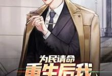 为民请命,重生后我走上官场巅峰这本小说怎么样?免费在线阅读试试-干果文学