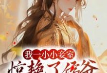 主角叫叶青芷谢晋小说我一小小妾室,惊艳了侯爷很合理吧章节免费阅读-干果文学
