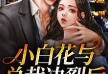 沈宜周从谨的完整故事在哪里?读小白花与总裁决裂后,他后悔疯了小说-干果文学