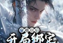 穿越以后,开局绑定反派系统免费阅读,穿越以后,开局绑定反派系统秦洛-干果文学