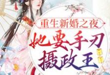 已完结小说《重生新婚之夜,她要手刃摄政王》最新章节-干果文学