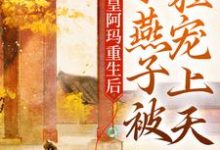 小说《皇阿玛重生后,小燕子被狂宠上天》章节免费阅读-干果文学