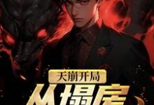 夏至的完整故事在哪里?读天崩开局!从塌房明星开始小说-干果文学