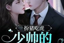 林晚音君南辰的小说在哪里看?免费在线阅读扮猪吃虎!少帅的暖床娇妻-干果文学