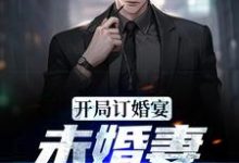 完结版《开局订婚宴,未婚妻弃我而去》免费阅读-干果文学