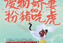 在线寻找席然阎恒的小说,战王接嫁:废物娇妻又在扮猪吃虎免费阅读-干果文学