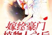 主角叫童颜陆霆骁的小说在哪阅读-干果文学