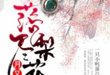 落尽梨花月又西这本小说怎么样?免费在线阅读试试-干果文学