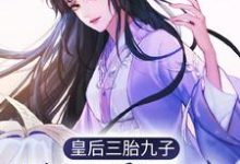 皇后三胎九子,朕还需选秀?江云姝褚邑在线章节免费阅读-干果文学
