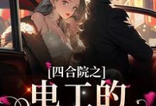 主人公张建国小说四合院之电工的幸福日子在线章节阅读-干果文学