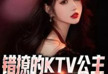 苏阳凌若雪小说叫什么(错撩的KTV公主是我的顶头上司免费阅读)-干果文学