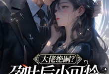 小说《大佬绝嗣?孕吐后小可怜一胎三宝》章节免费阅读-干果文学