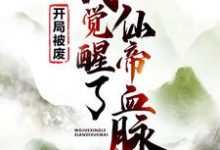 在线搜索易阡陌鱼幼薇黎天的完整小说,免费阅读开局被废,我觉醒了仙帝血脉-干果文学